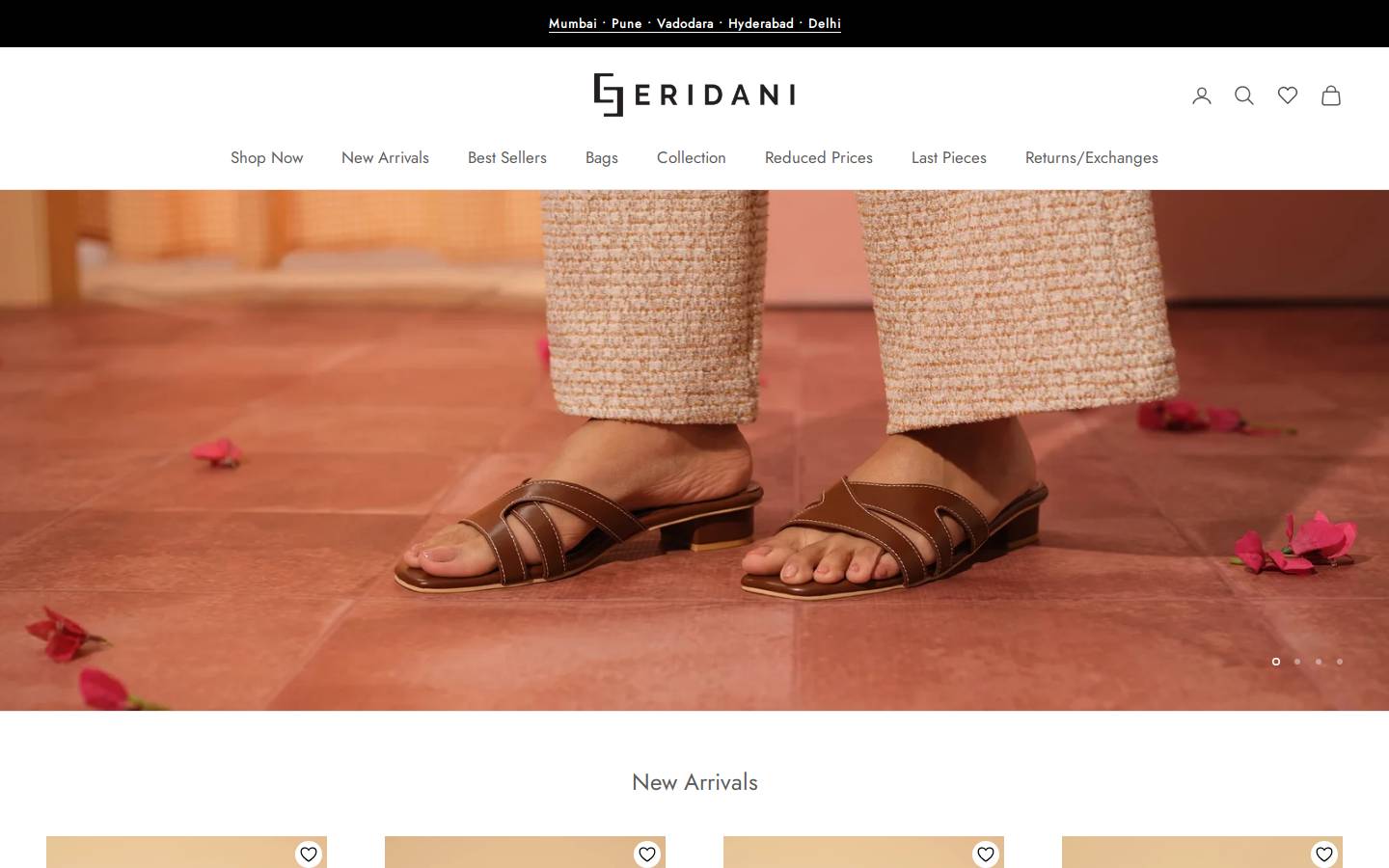 eridani.in homepage screenshot