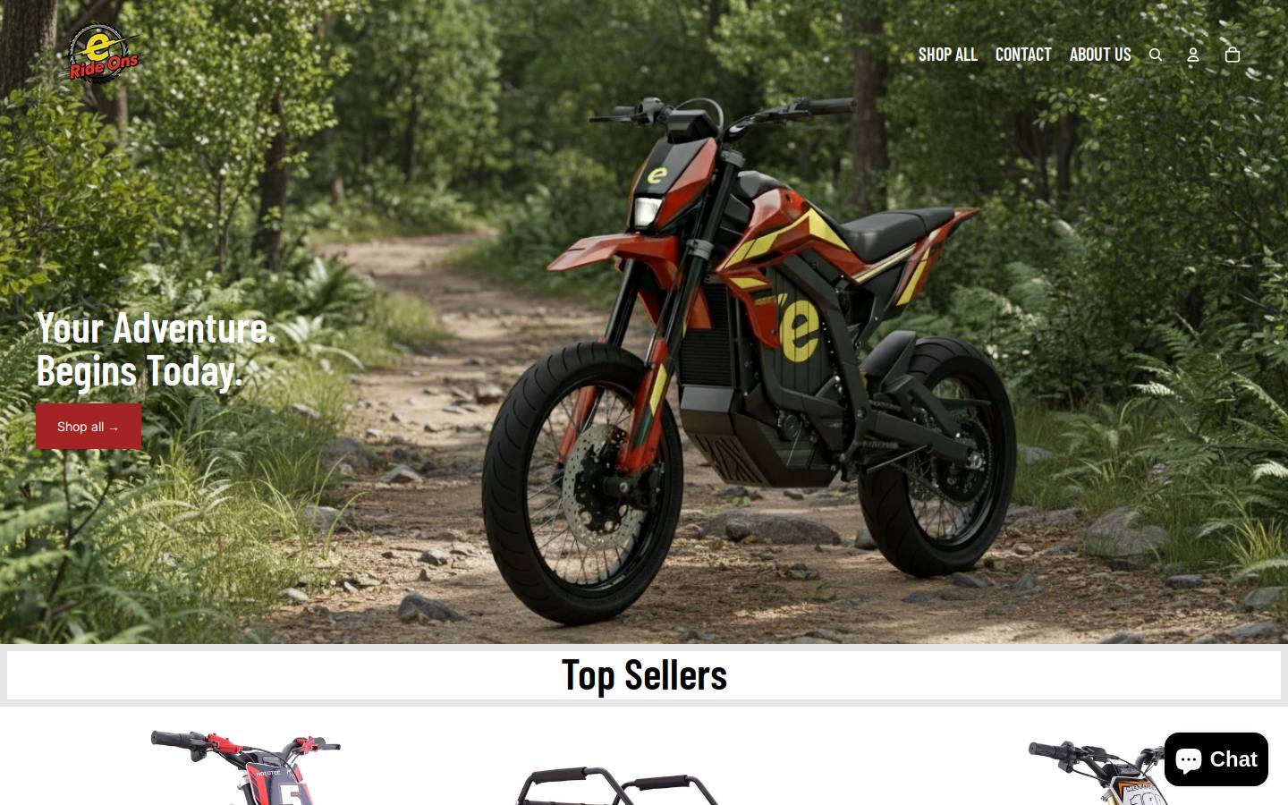 erideons.com homepage screenshot