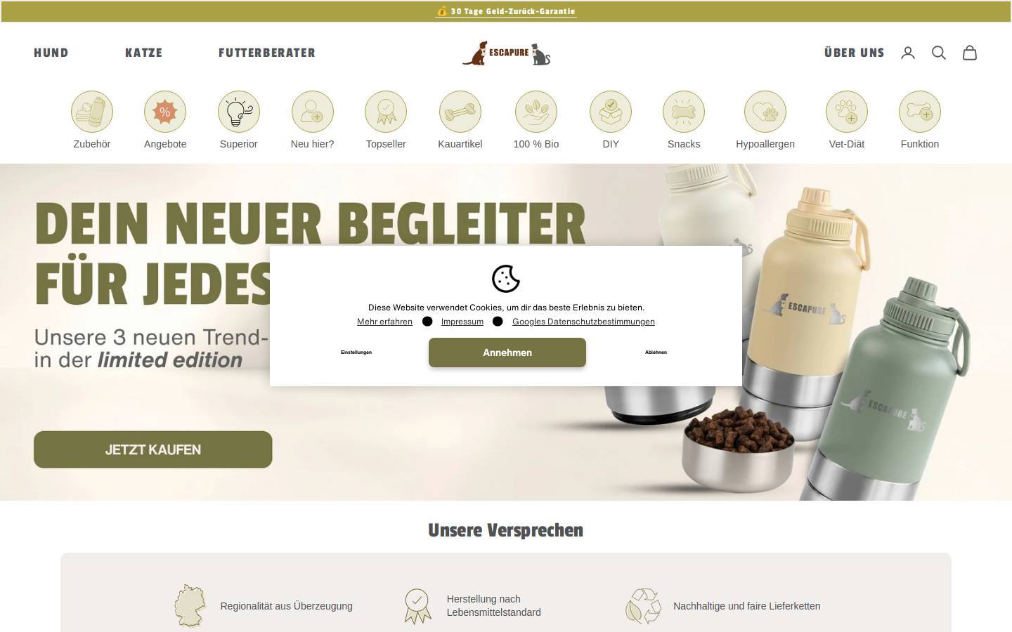 Escapure homepage screenshot