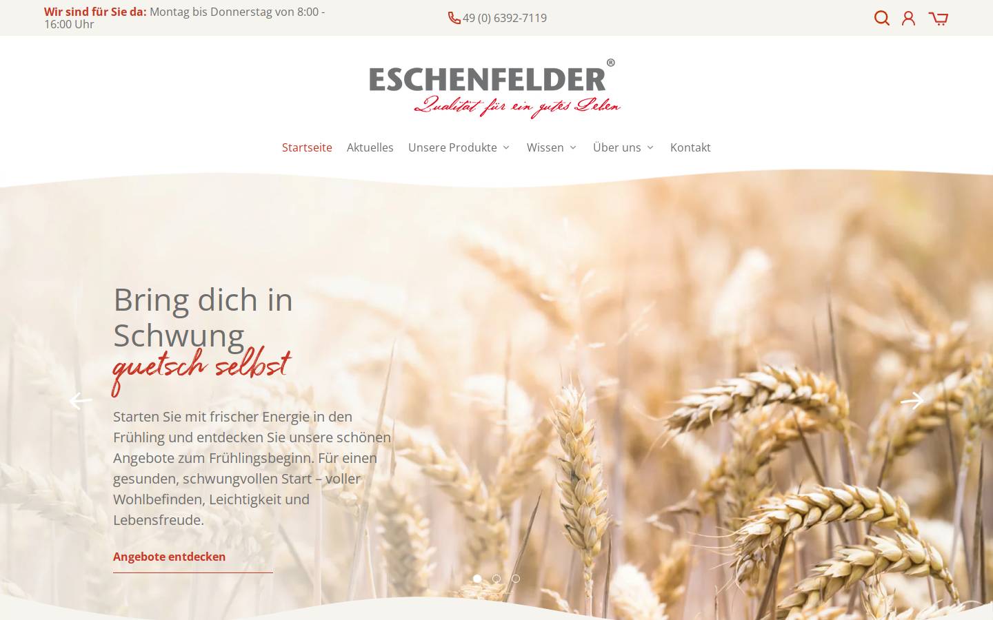 eschenfelder.de homepage screenshot