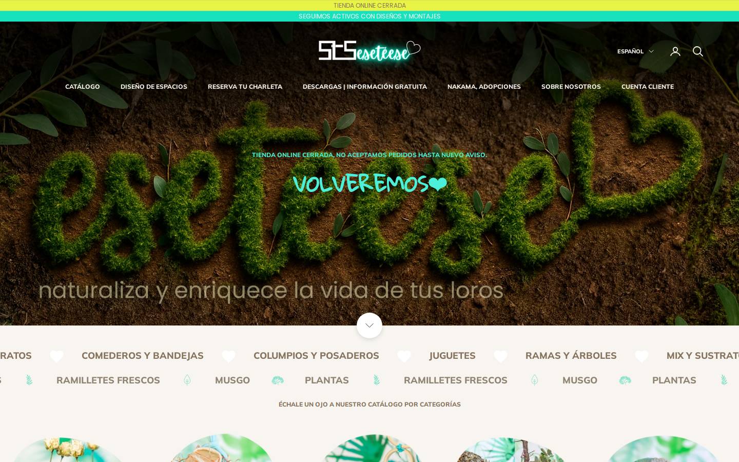 eseteese.es homepage screenshot