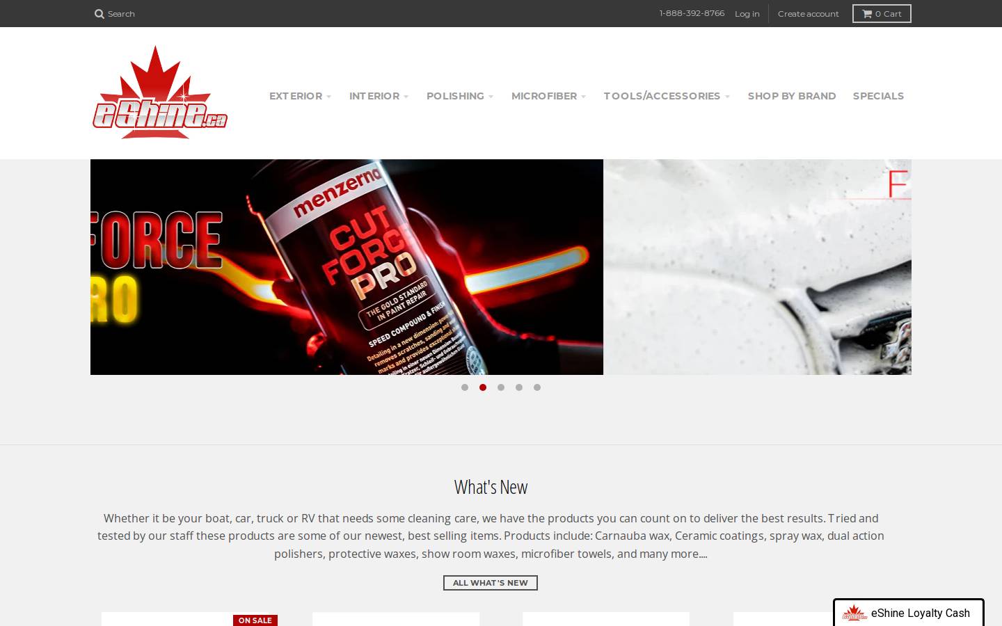 eShine Car Care homepage screenshot