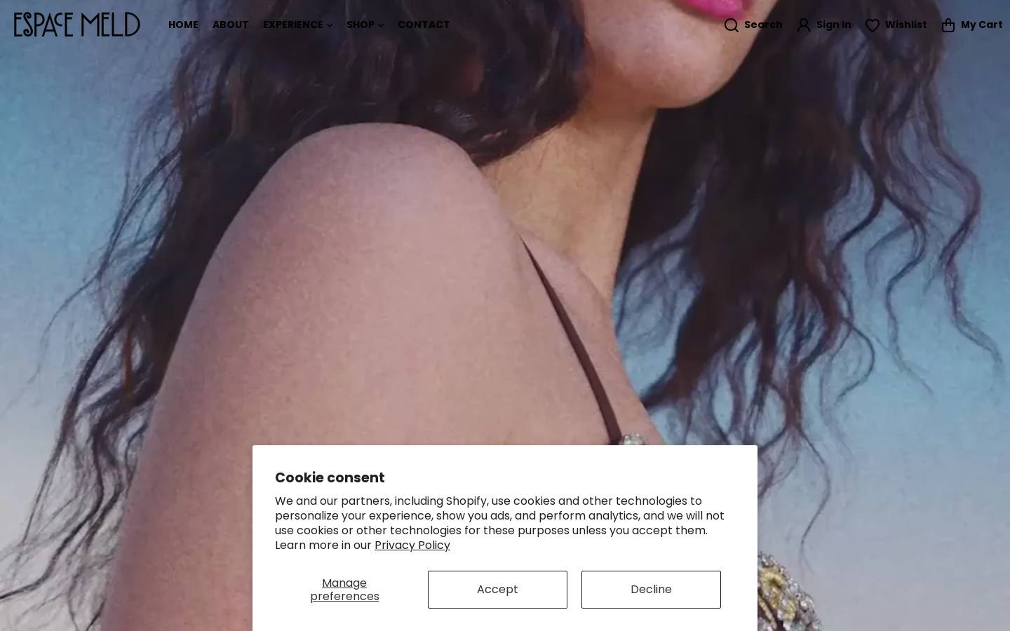 espacemeld.com homepage screenshot