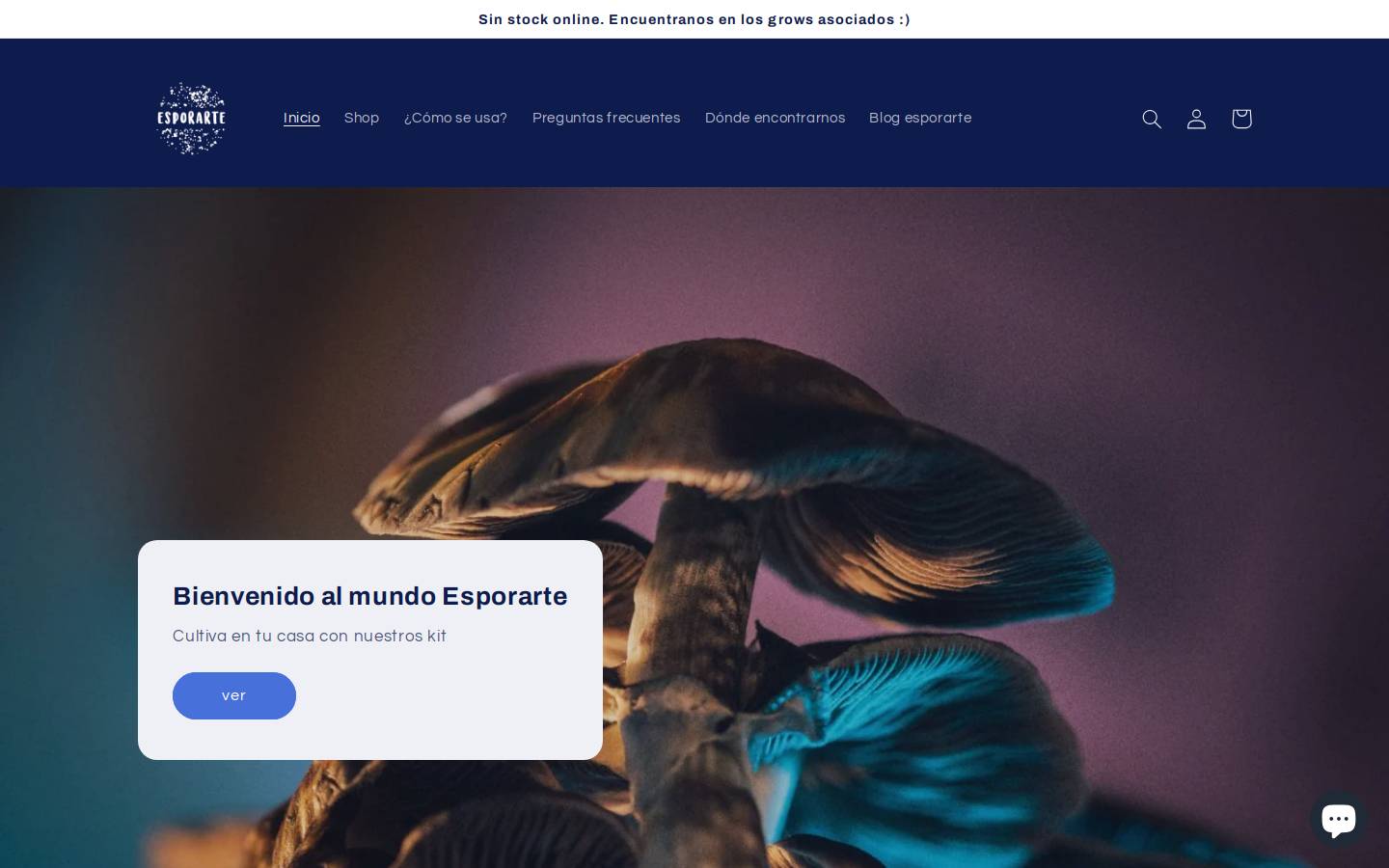 esporarte.com homepage screenshot