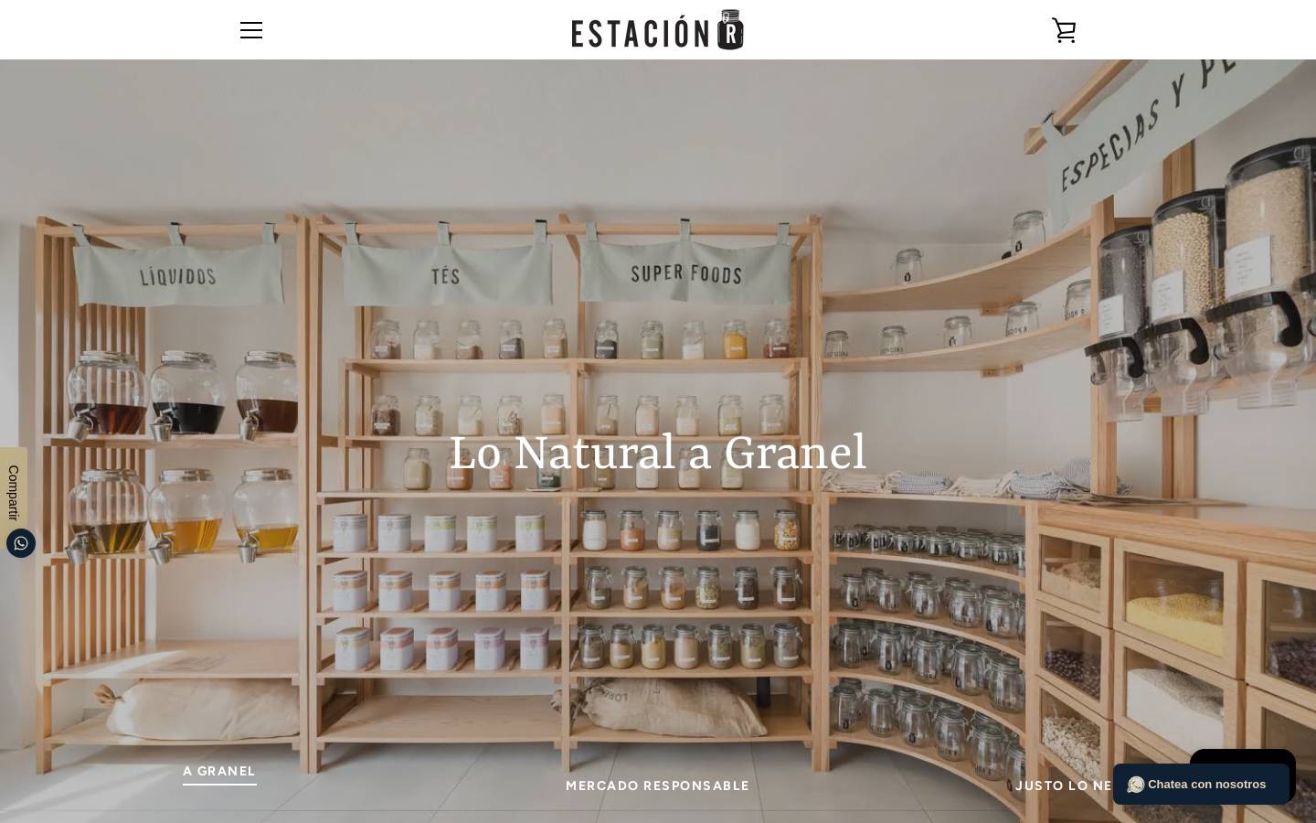 estacionr.mx homepage screenshot