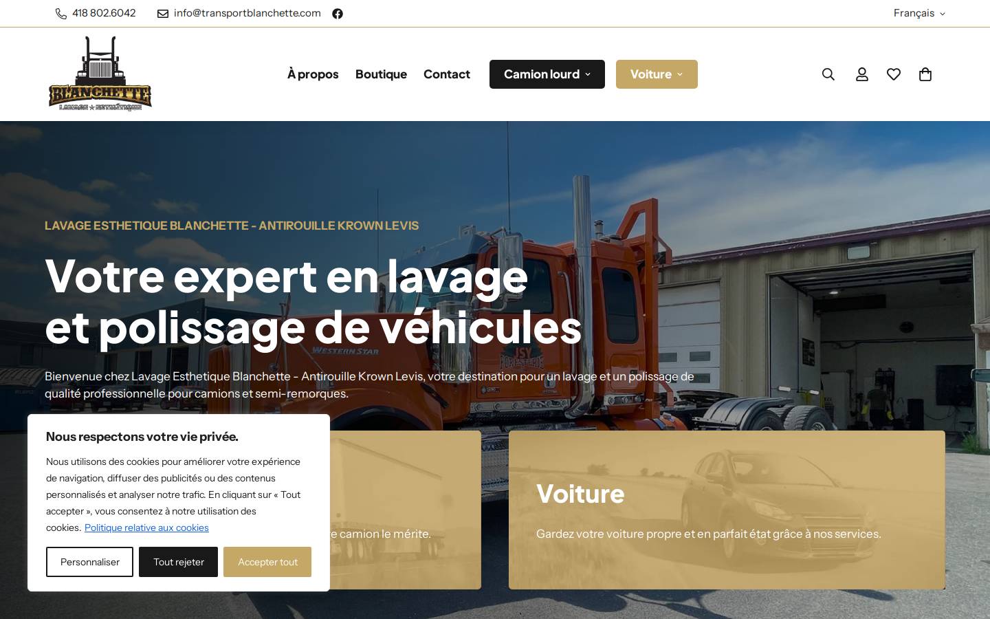 esthetiquelavage.com homepage screenshot