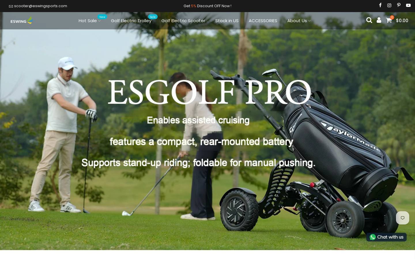 eswingsports.com homepage screenshot
