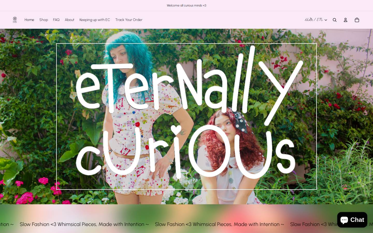 eternally-curious.com homepage screenshot