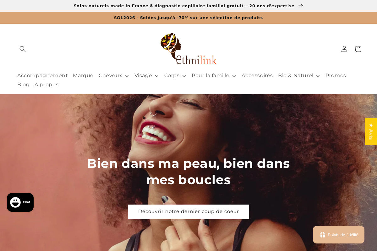 Ethnilink homepage screenshot