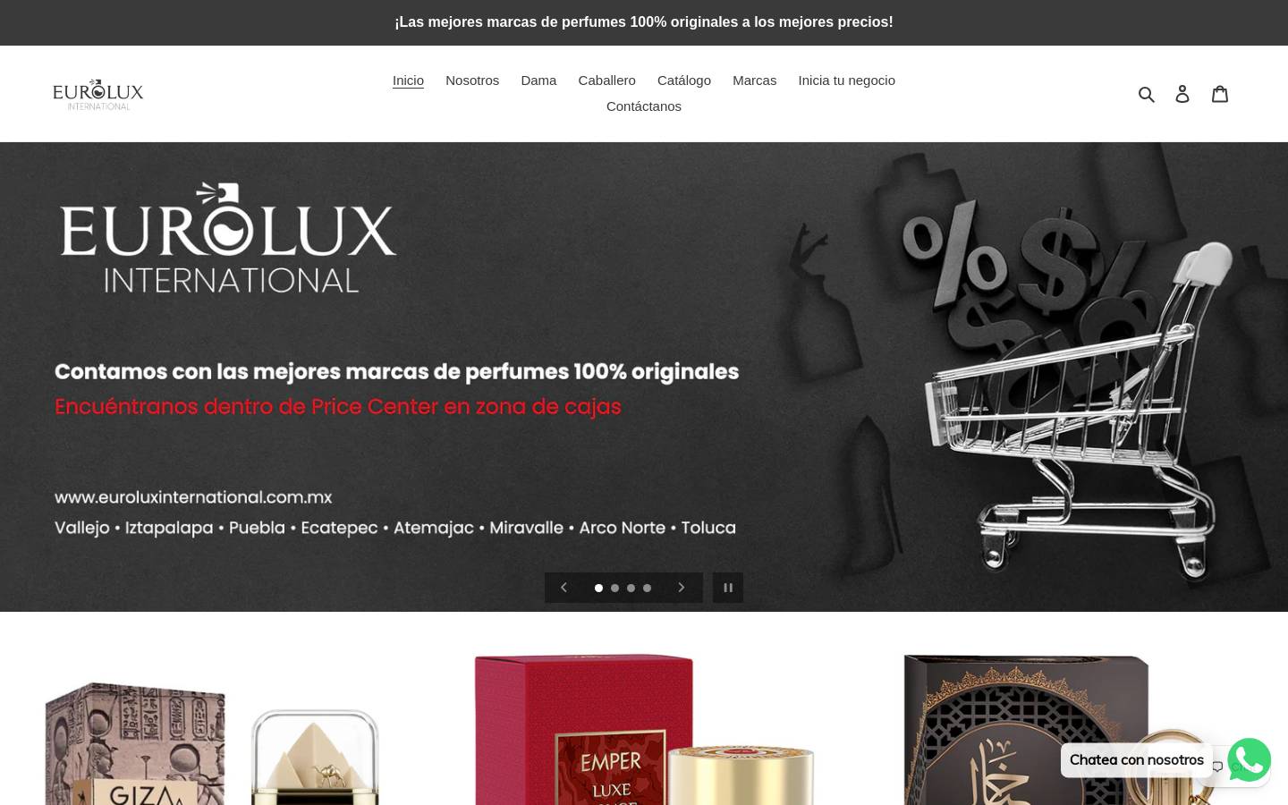 euroluxinternational.com.mx homepage screenshot