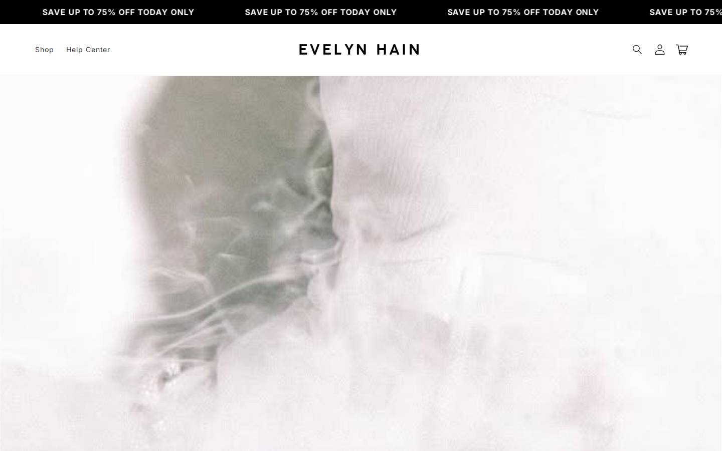 evelynhain.com homepage screenshot