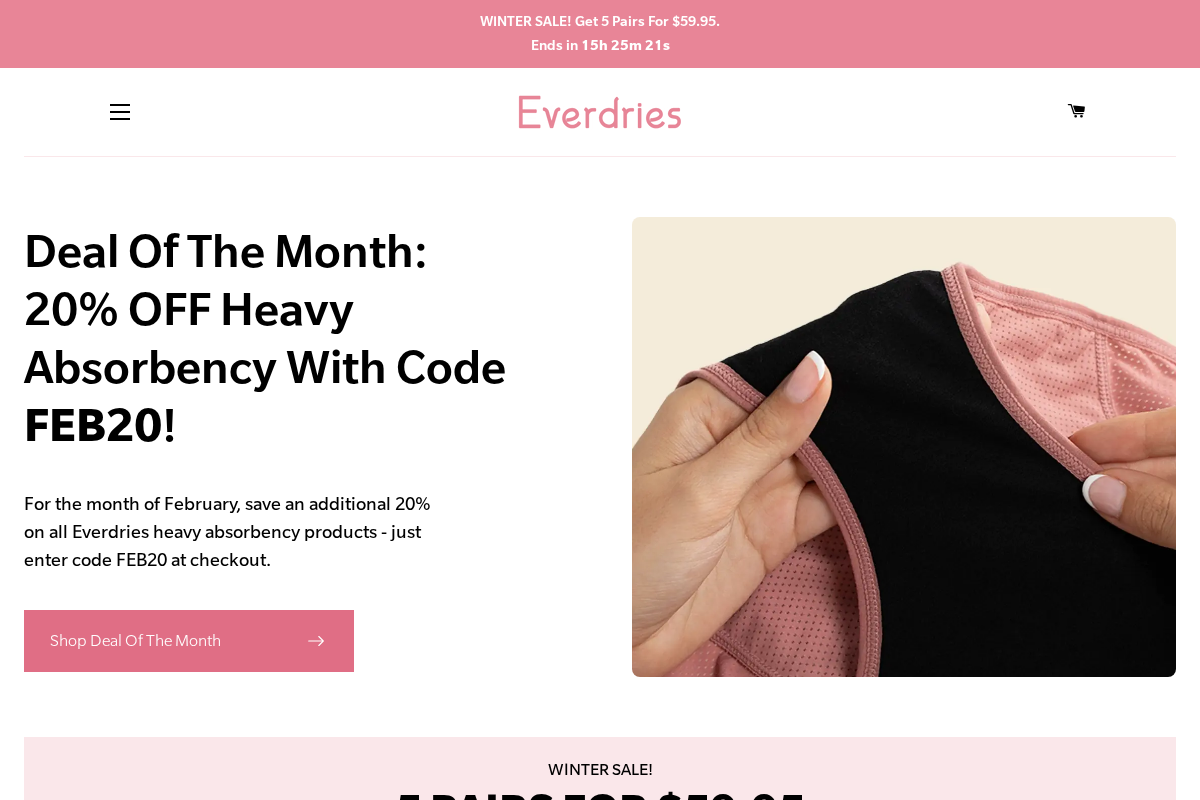 everdries.com homepage screenshot