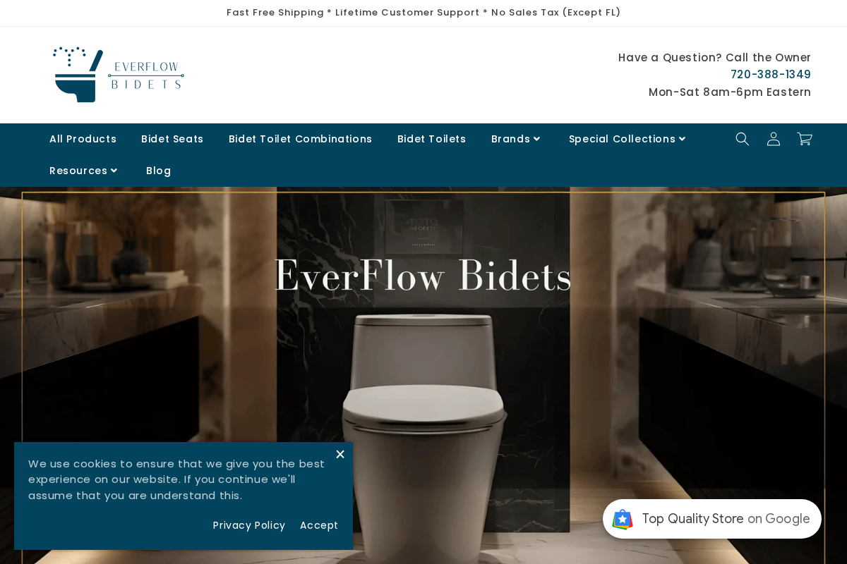EverFlow Bidets homepage screenshot