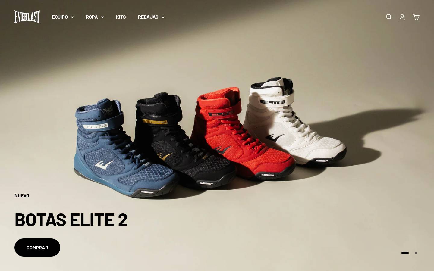 Everlast homepage screenshot