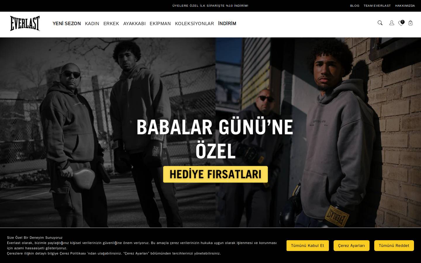 Everlast homepage screenshot