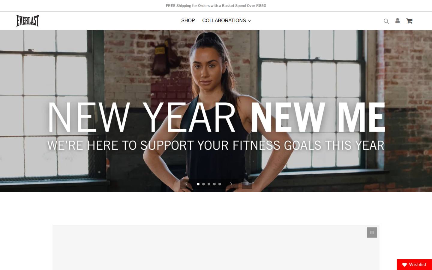 everlastsa.co.za homepage screenshot