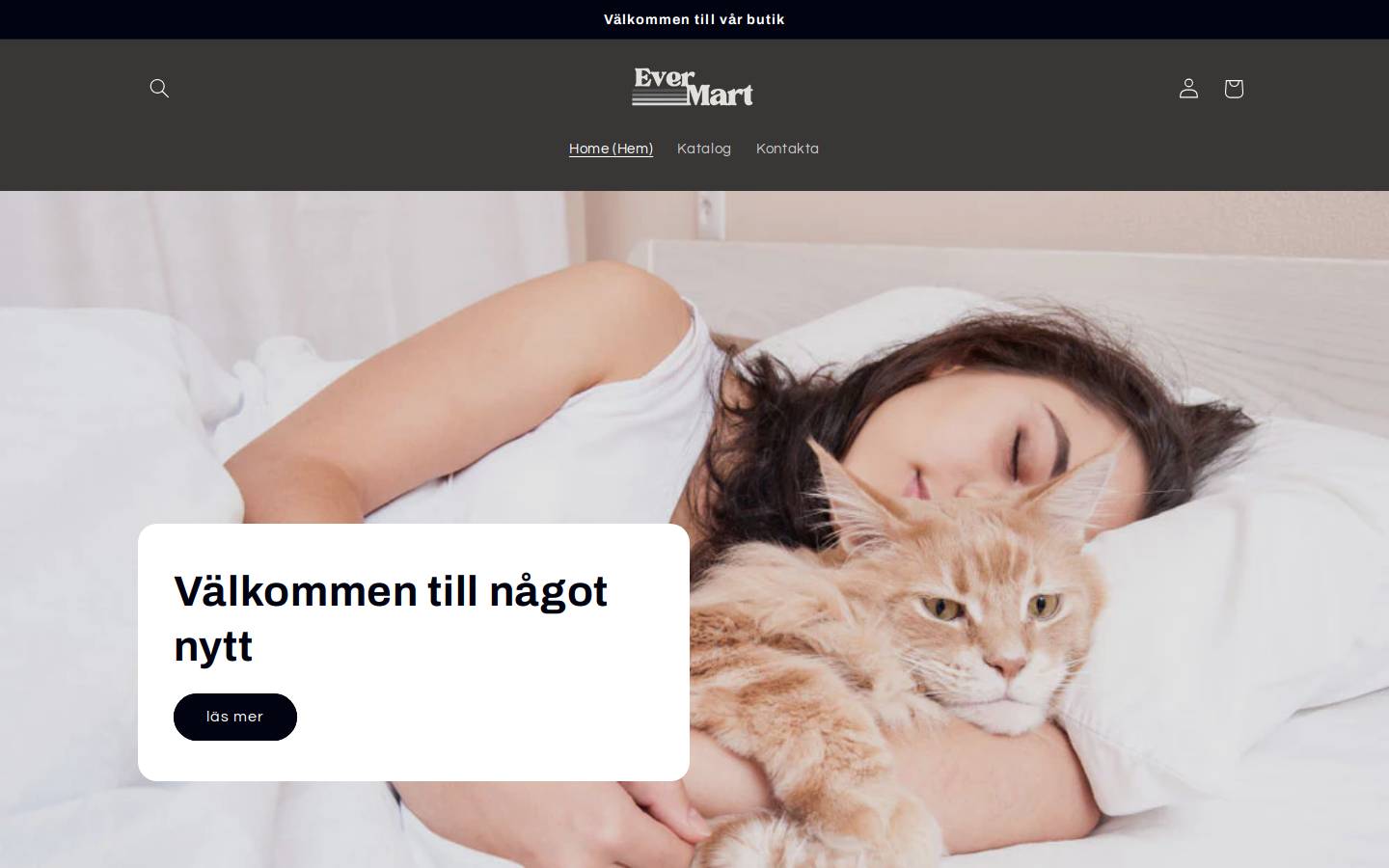 Evermart homepage screenshot