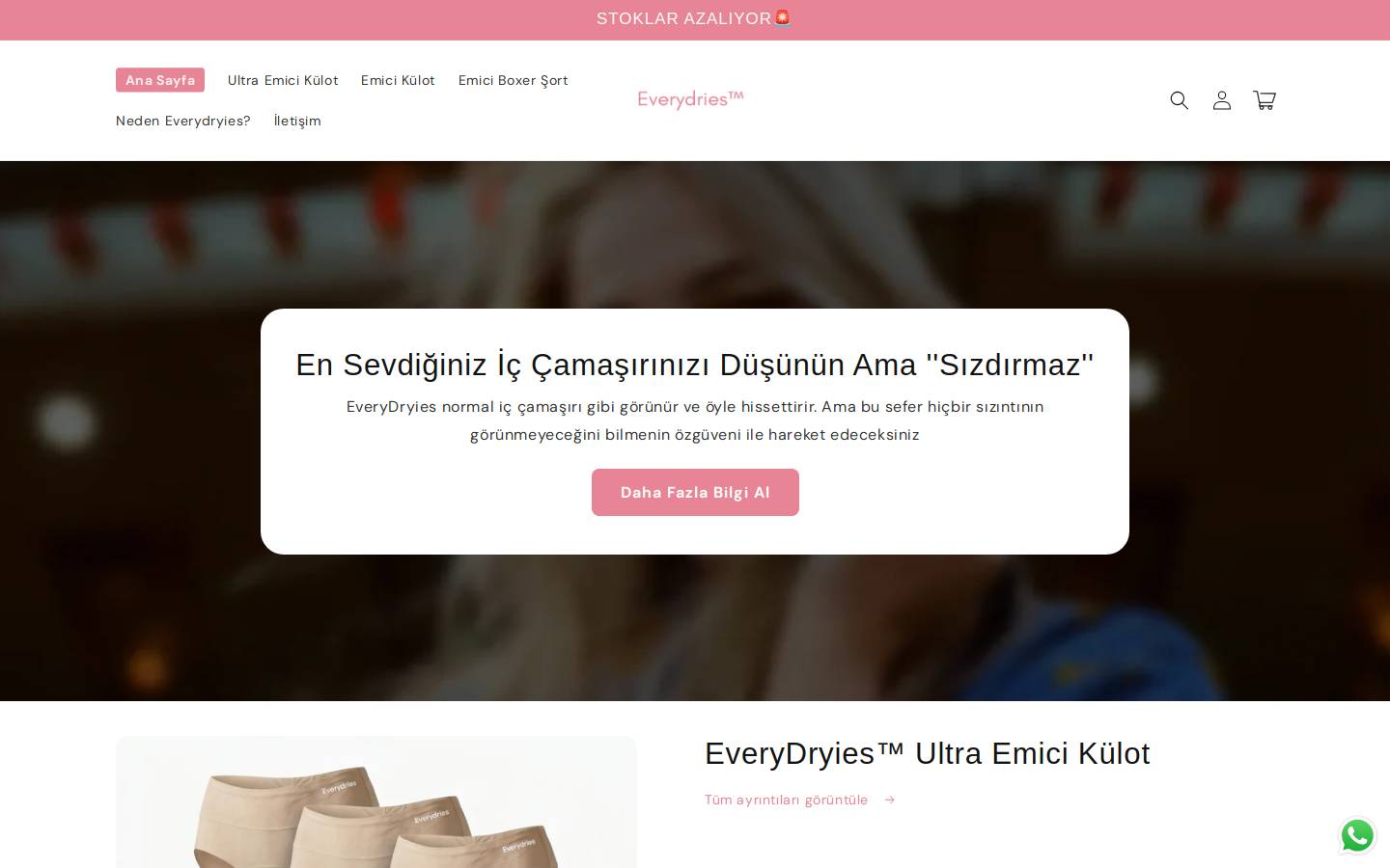 everydries.com homepage screenshot
