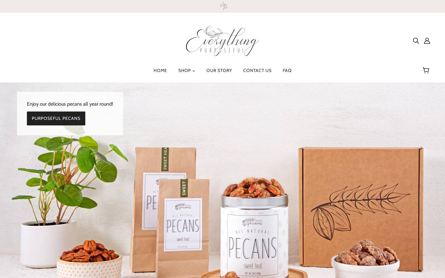 everythingpurposeful.com homepage screenshot