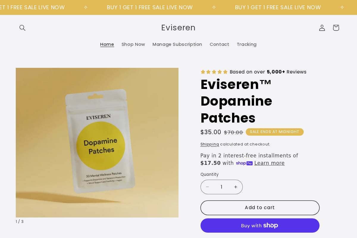 eviseren.com homepage screenshot