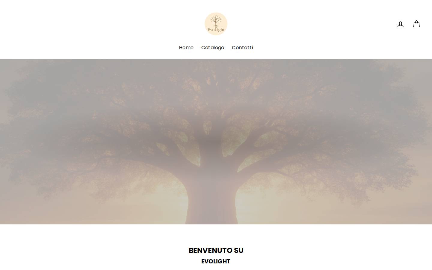 evolight.it homepage screenshot