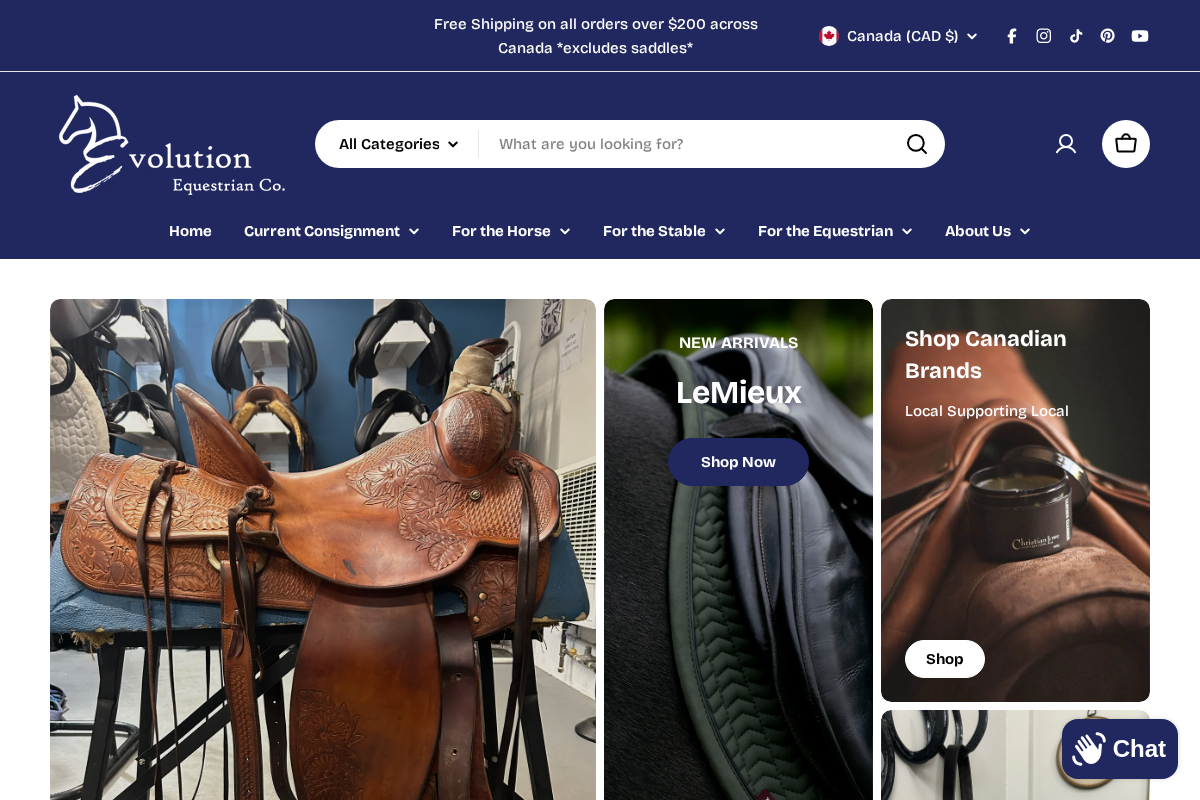 Evolution Equestrian Co. homepage screenshot