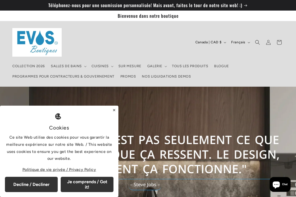 Evos Boutiques homepage screenshot