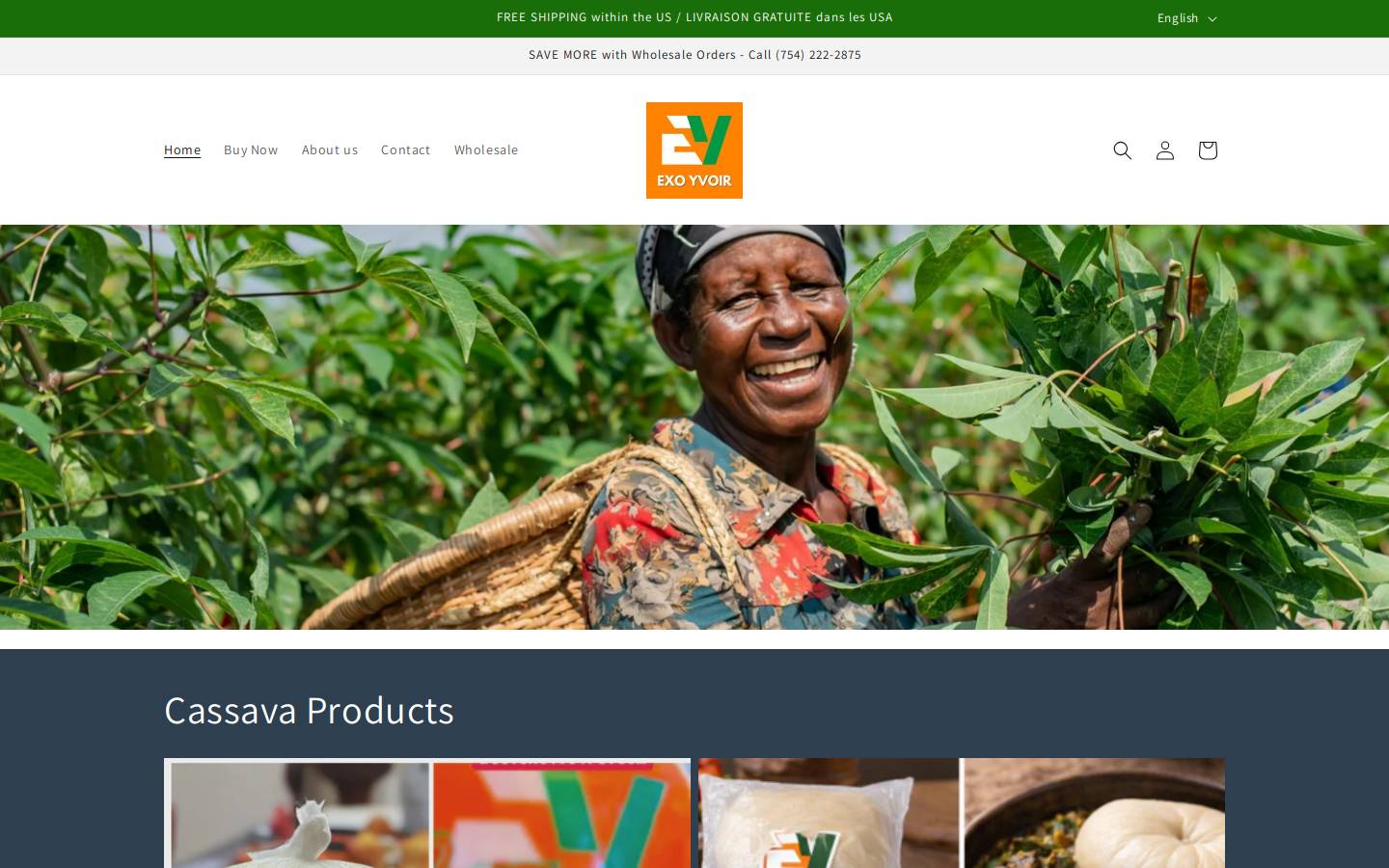 exoyvoir.com homepage screenshot