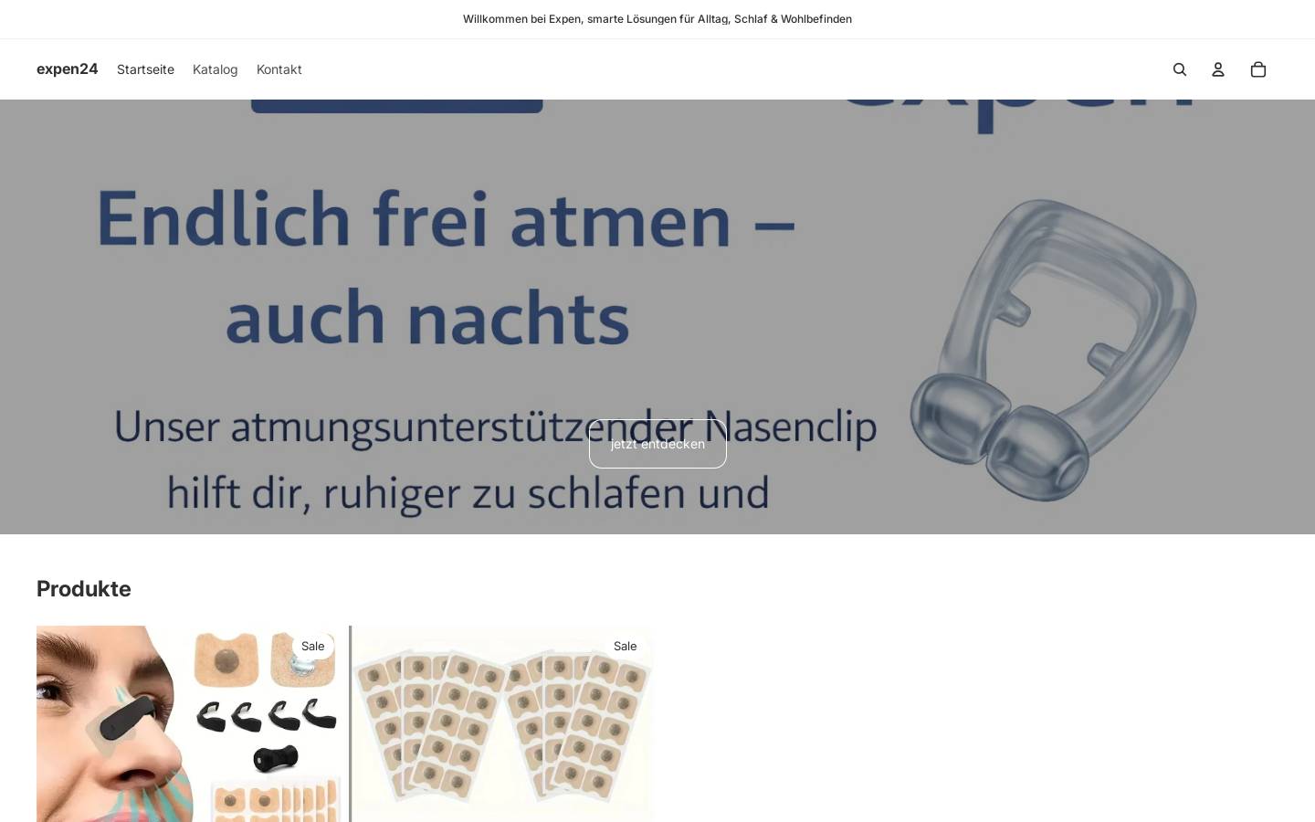 expen24.com homepage screenshot