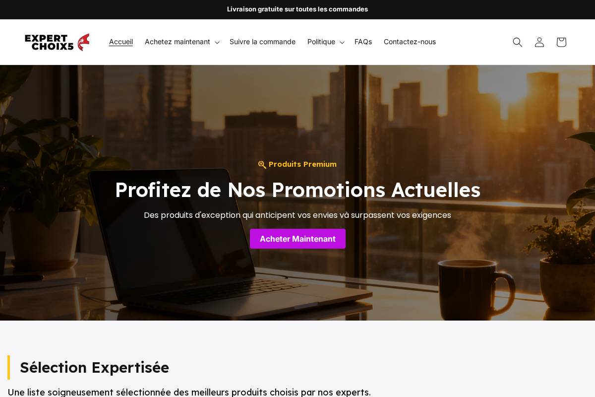 Expertchoix5 homepage screenshot