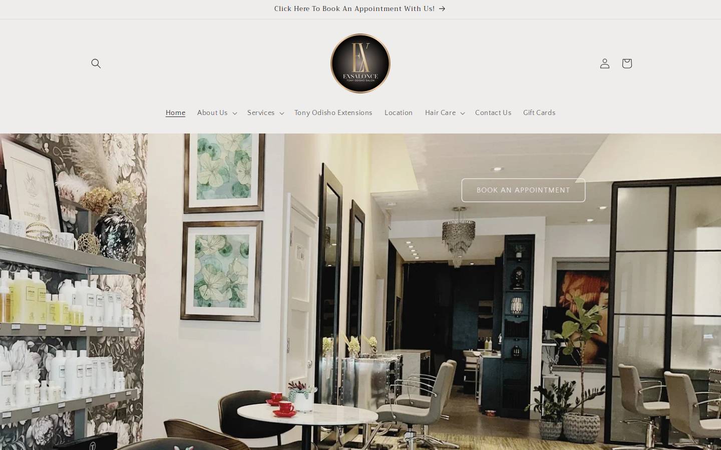 exsaloncechicago.com homepage screenshot