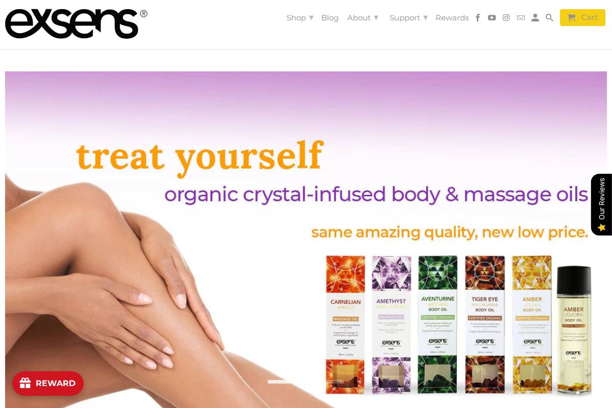 exsens-usa.com homepage screenshot