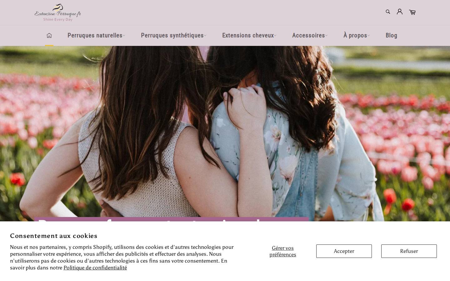 extension-perruque.com homepage screenshot
