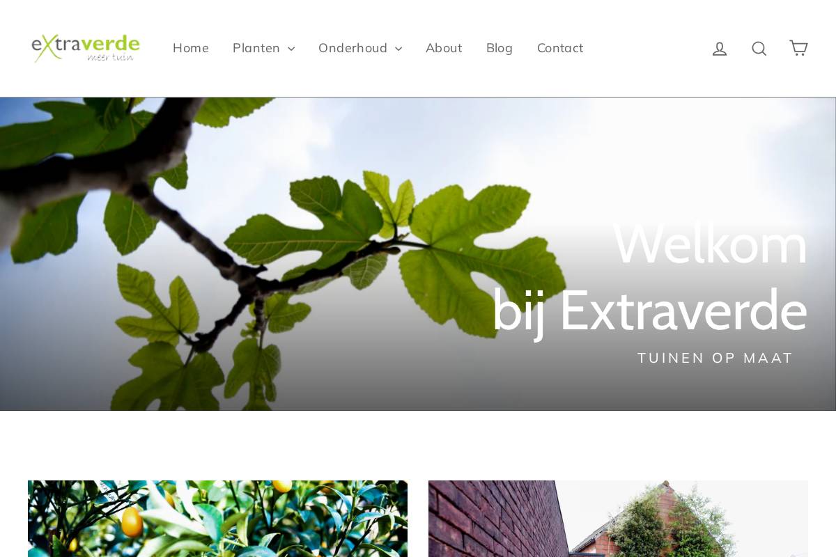 extraverde.be homepage screenshot