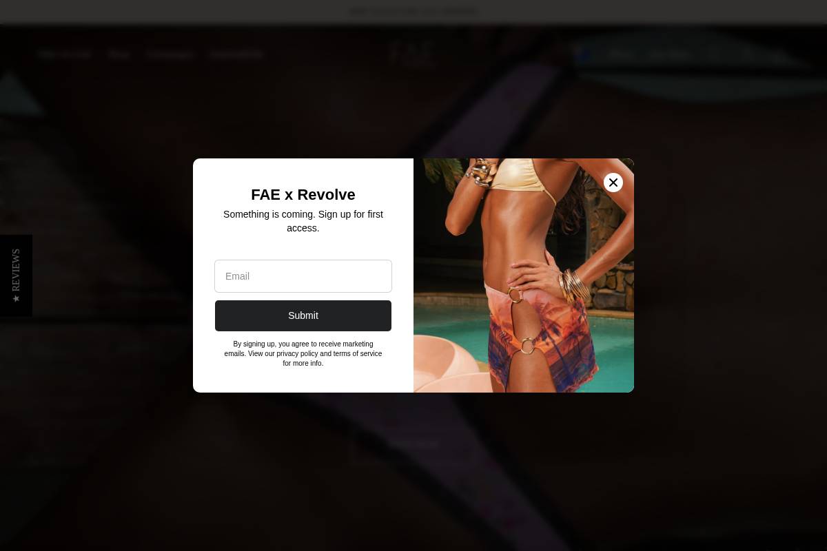 FAE homepage screenshot