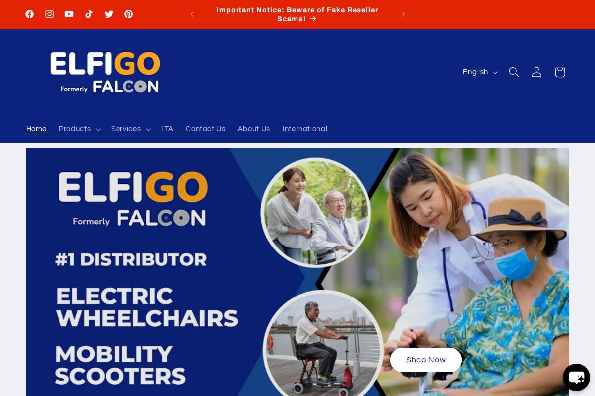 elfigo.sg homepage screenshot