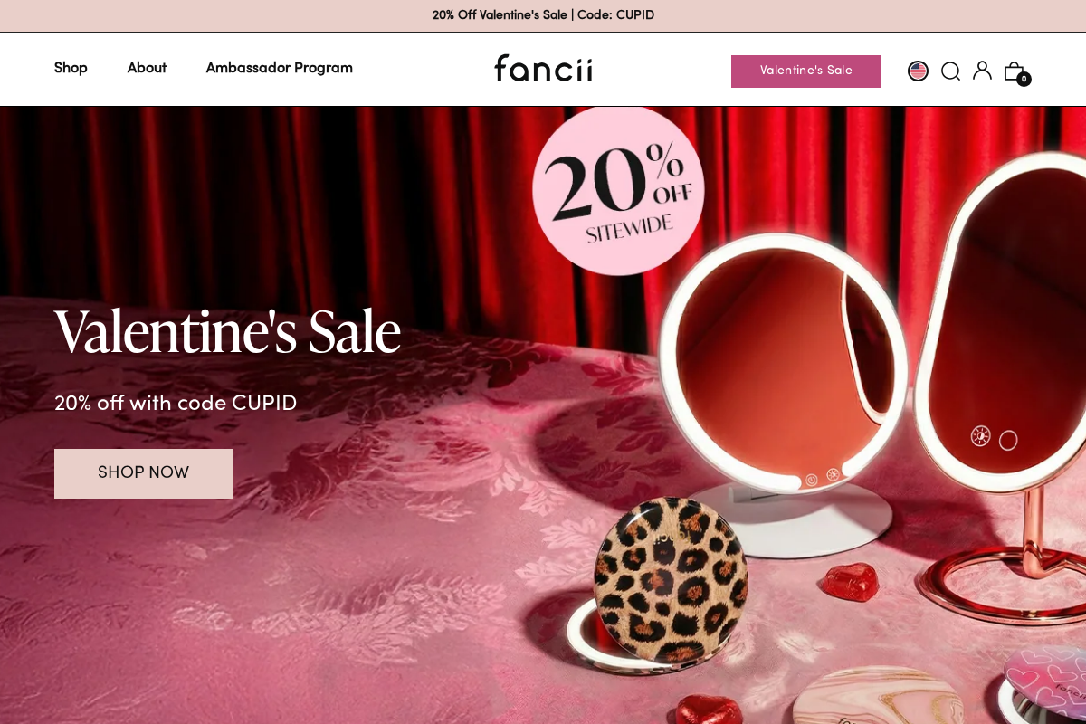 Fancii & Co. homepage screenshot