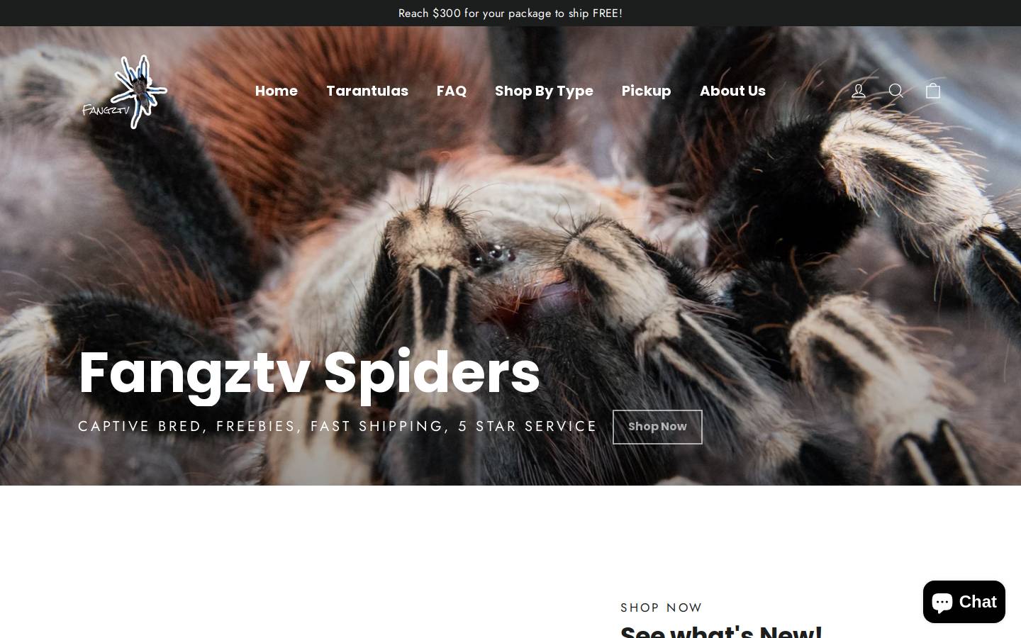 fangztv.com homepage screenshot
