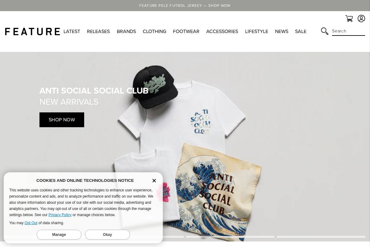 FEATURE homepage screenshot