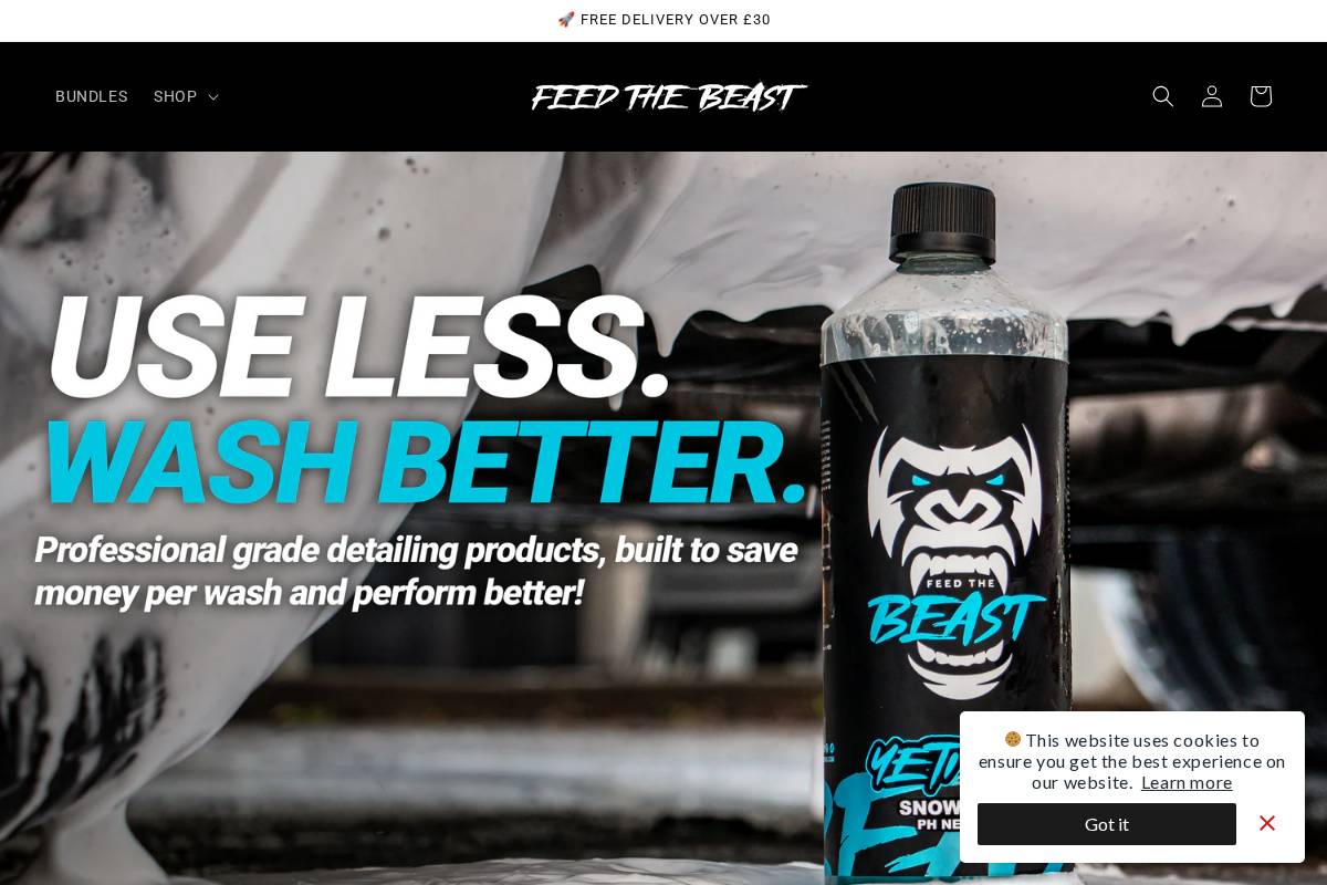 Feed The Beast Detailing homepage screenshot