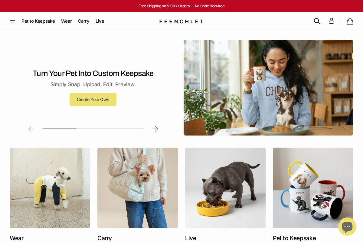 Feenchlet homepage screenshot