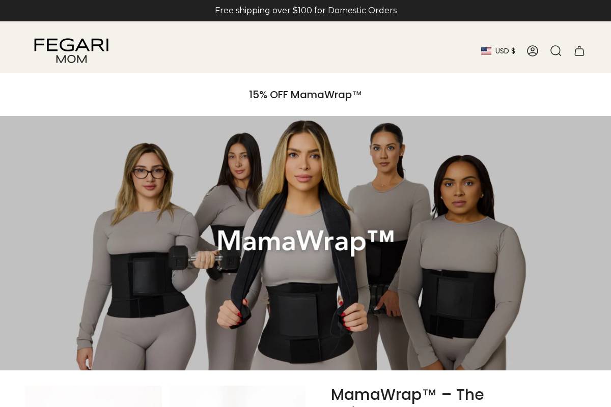 fegariactive.com homepage screenshot