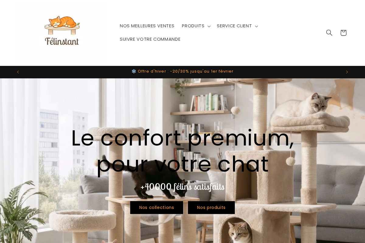 Félinstant homepage screenshot