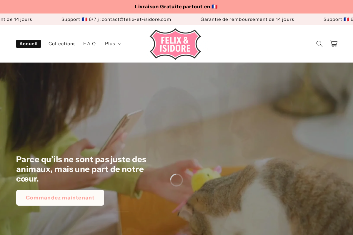 f & i homepage screenshot