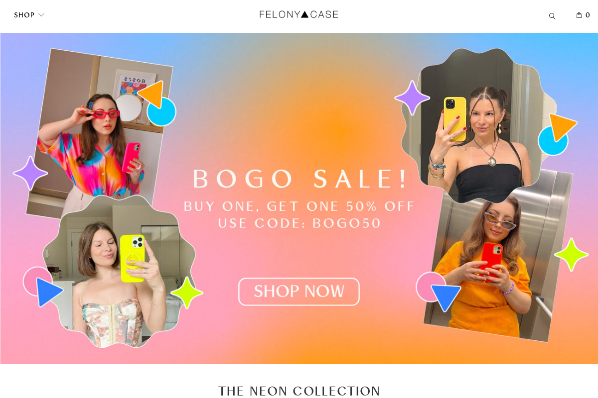 Felonycase homepage screenshot