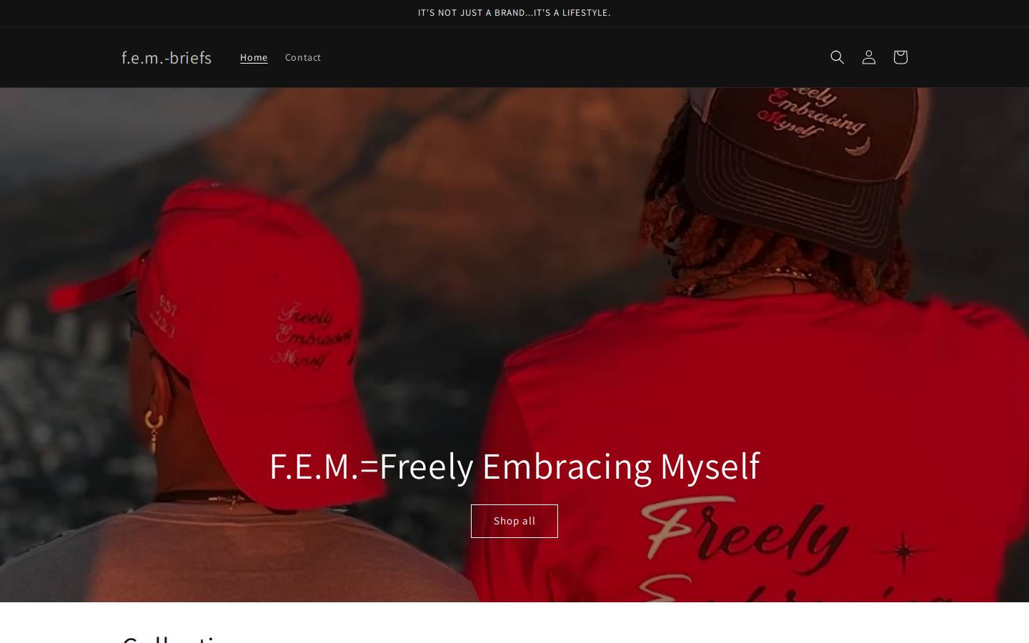 fem-briefs.com homepage screenshot