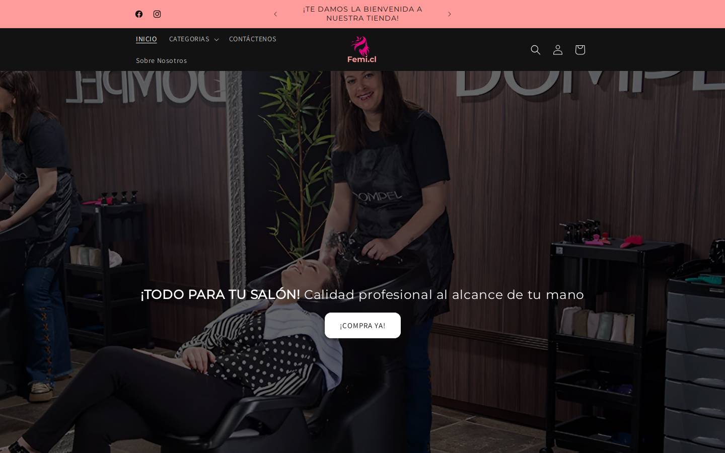 femi.cl homepage screenshot