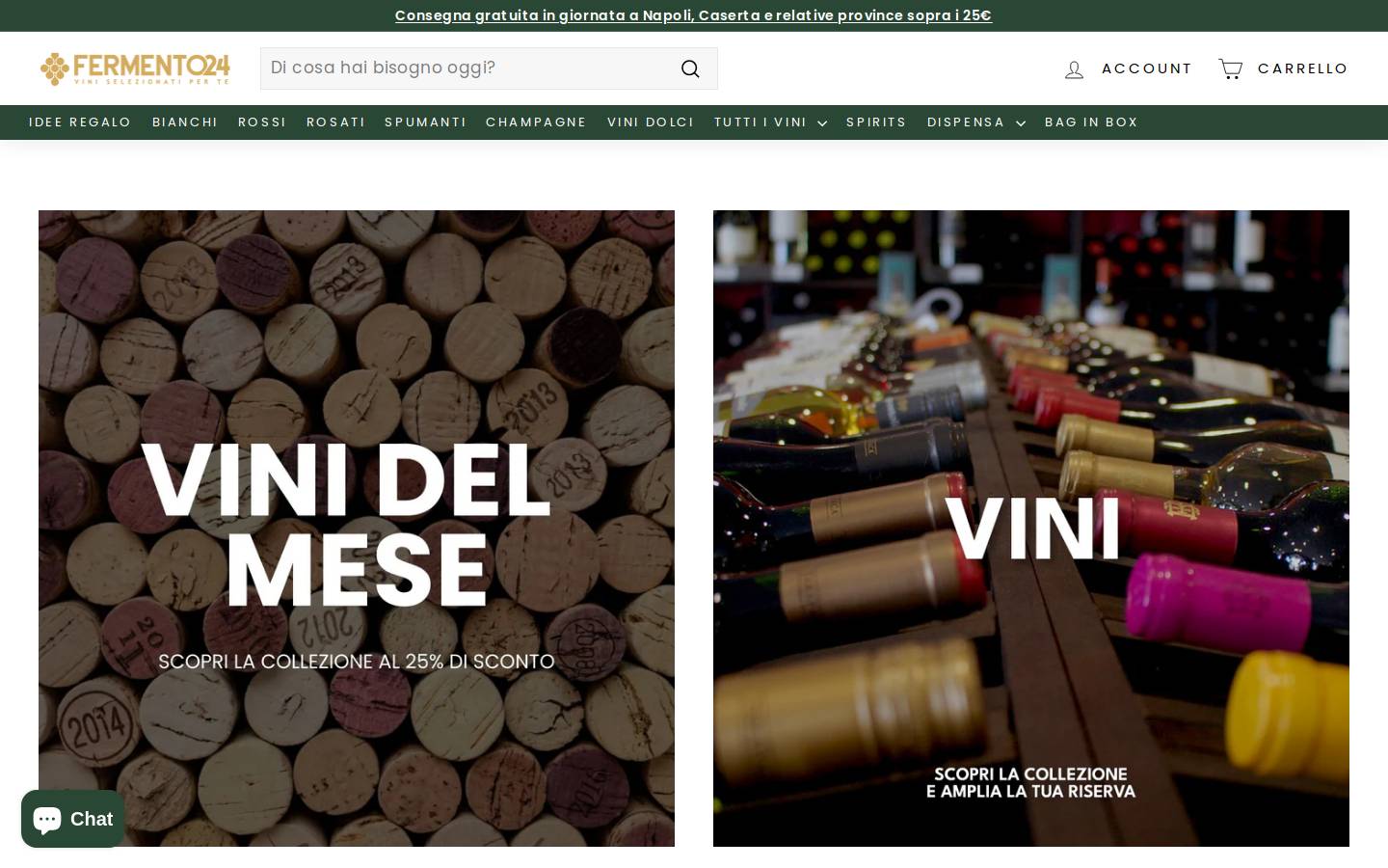 Fermento24 homepage screenshot