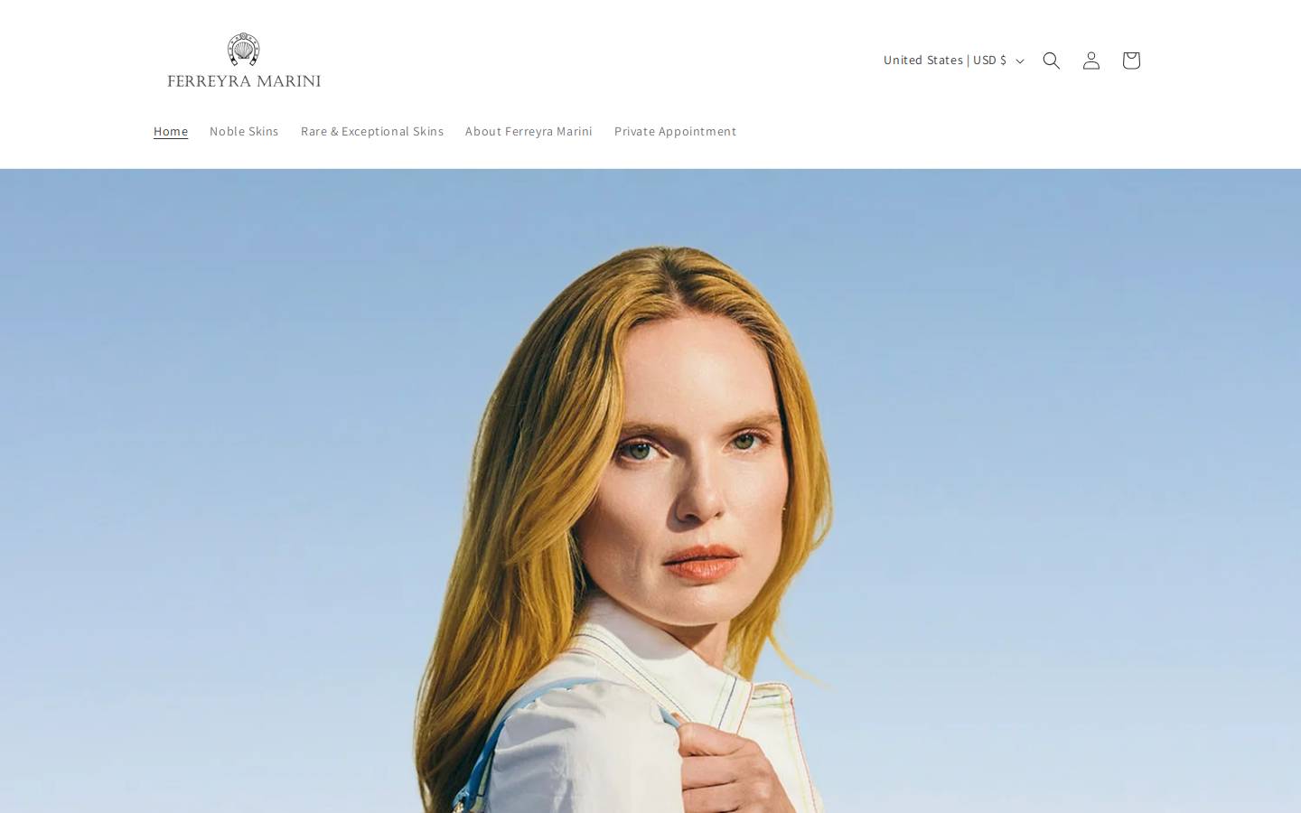 ferreyramarini.com homepage screenshot
