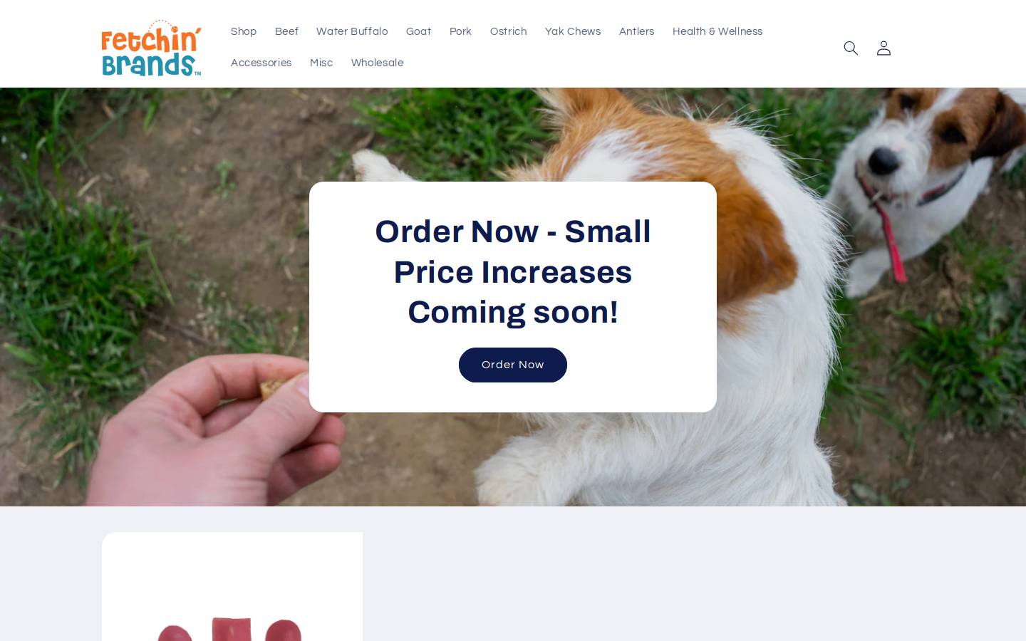fetchinbrands.com homepage screenshot